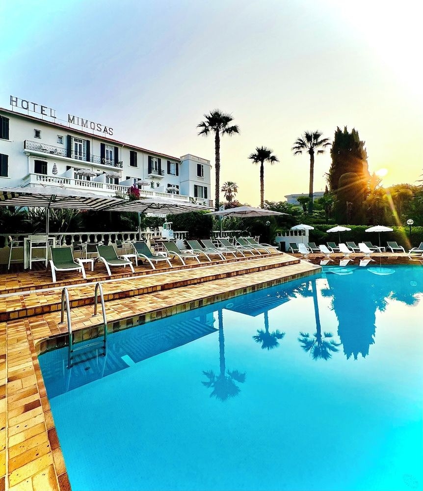 Hotel des Mimosas0