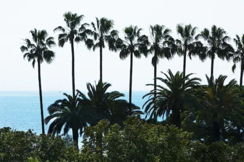 Villa d' Estelle Cannes3