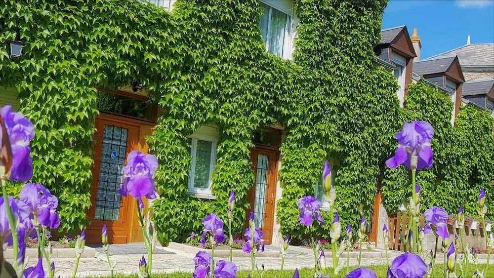 INTER-HOTEL Restaurant du Val de Loire0