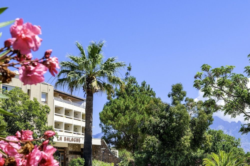 Calvi Hotel4