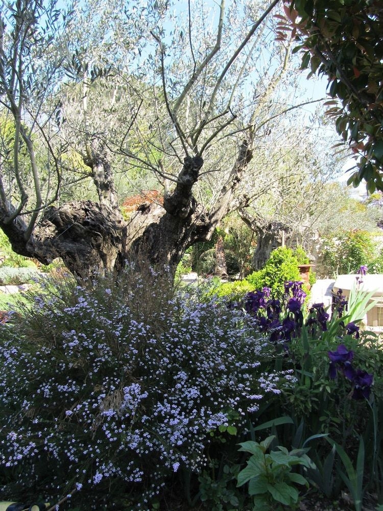 Les Rosees4
