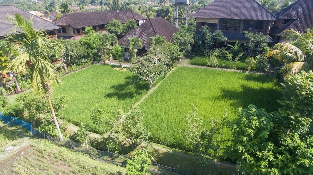 Bliss Bungalow1