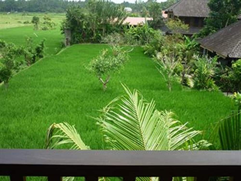 Bliss Bungalow4