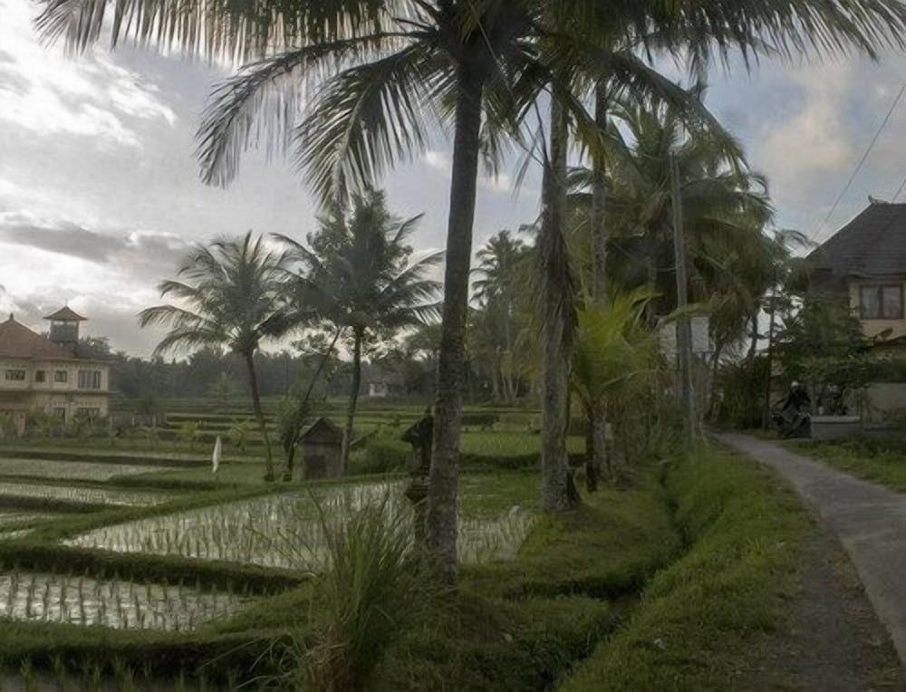 Bali Suksma Villa Ubud0