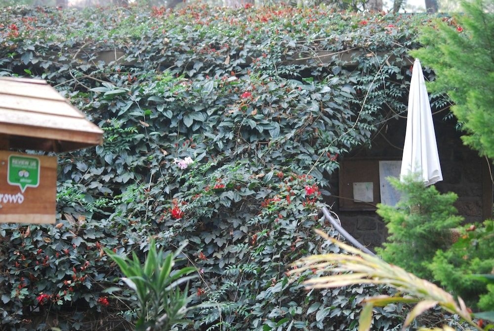 Green Spaces Munnar3