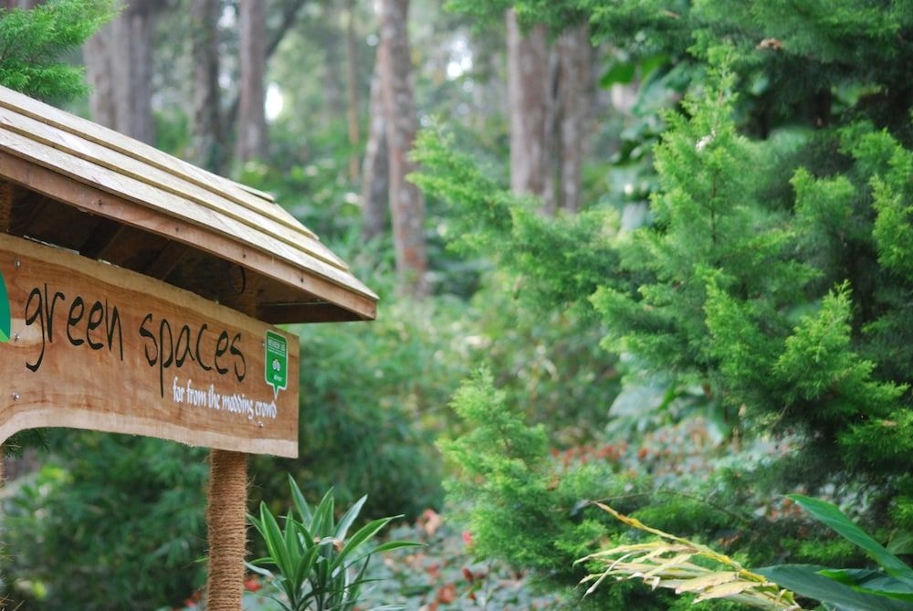 Green Spaces Munnar2