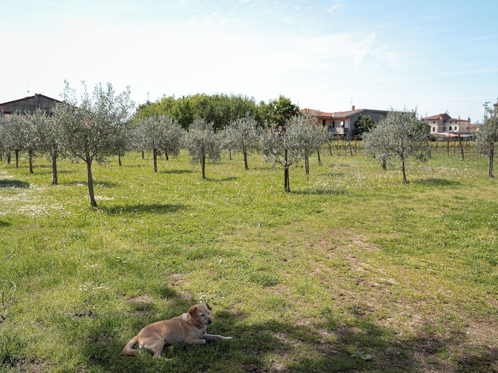 Villa Bongiovanni1