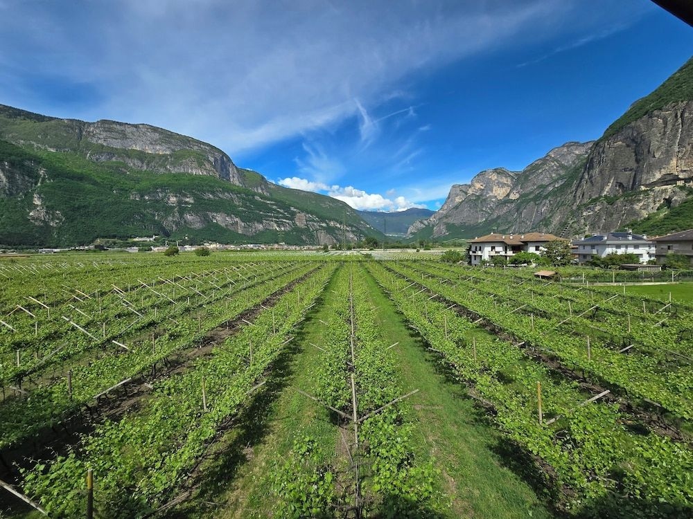 Agriturismo Antico Fienile Pittanzella1