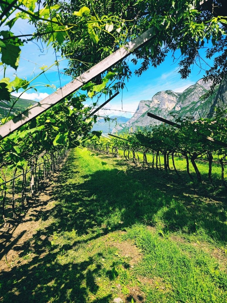 Agriturismo Antico Fienile Pittanzella4