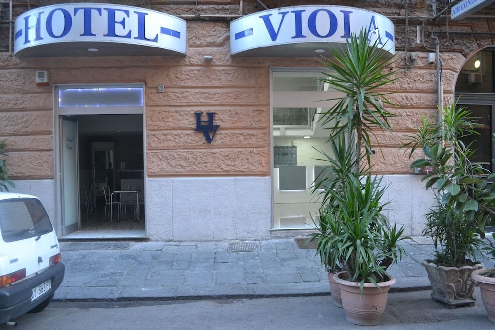 Viola3