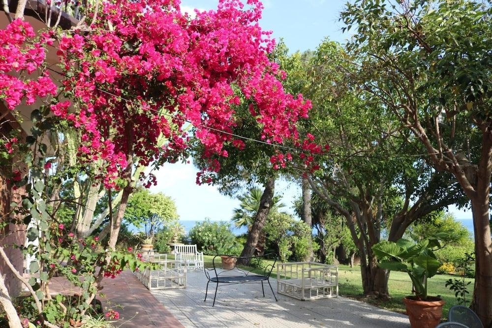 Villa delle Palme3