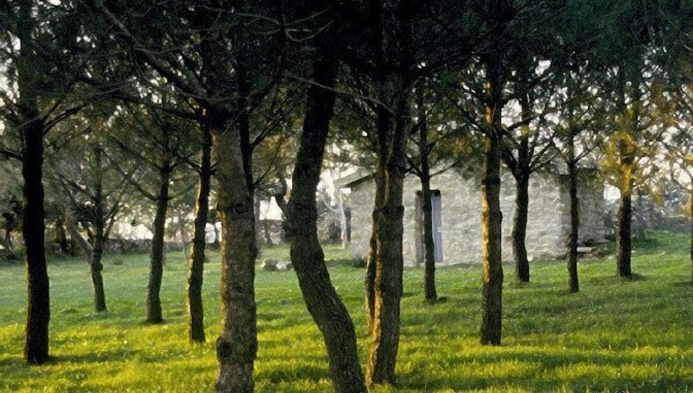 Villa Clementine1