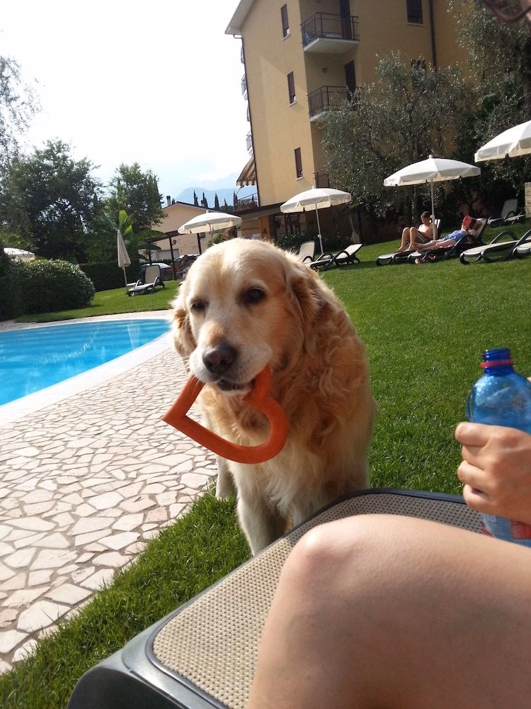 Hotel Benacus4