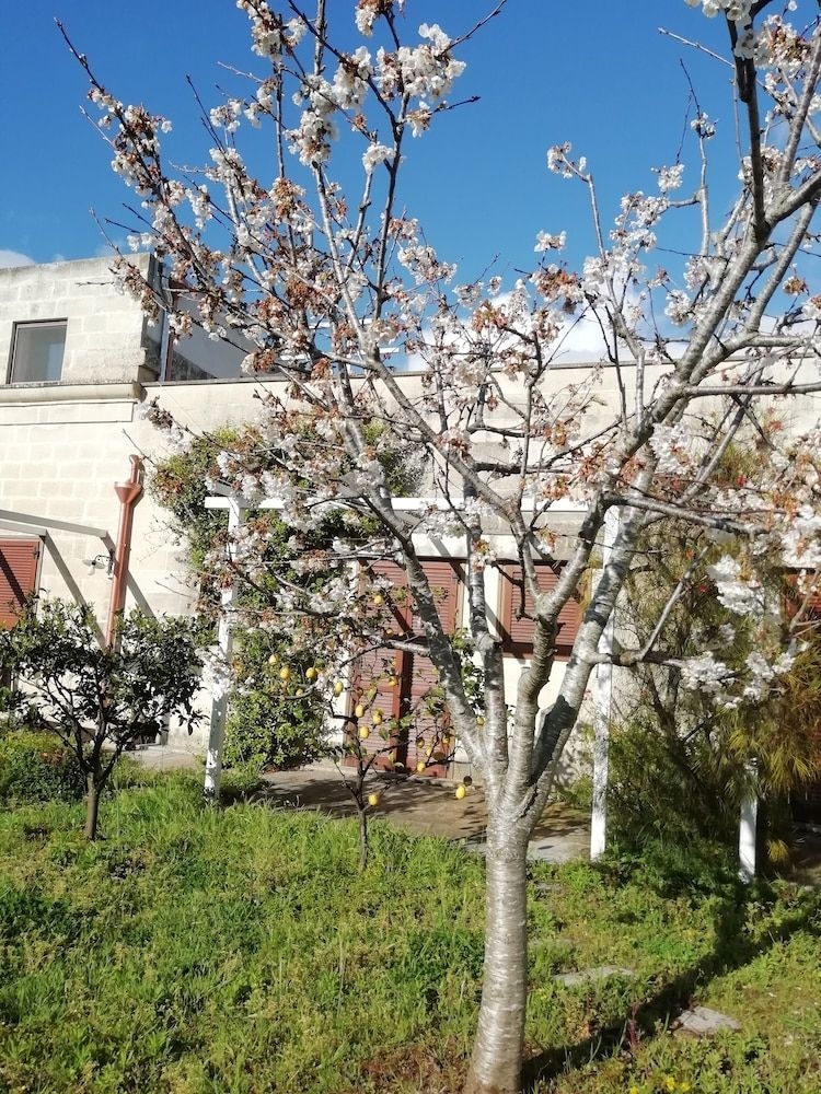 Masseria dei 12 Granai3