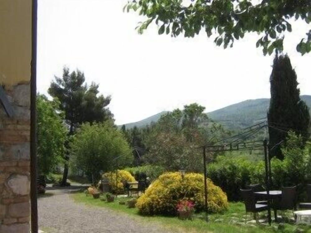 Il Gelso0