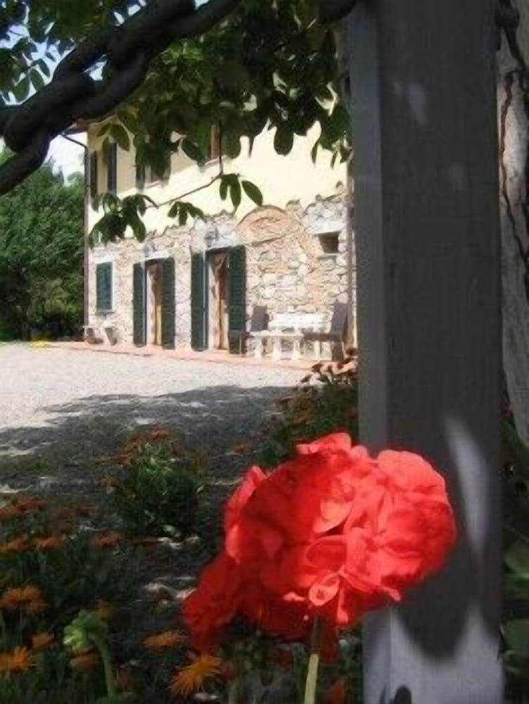 Il Gelso4