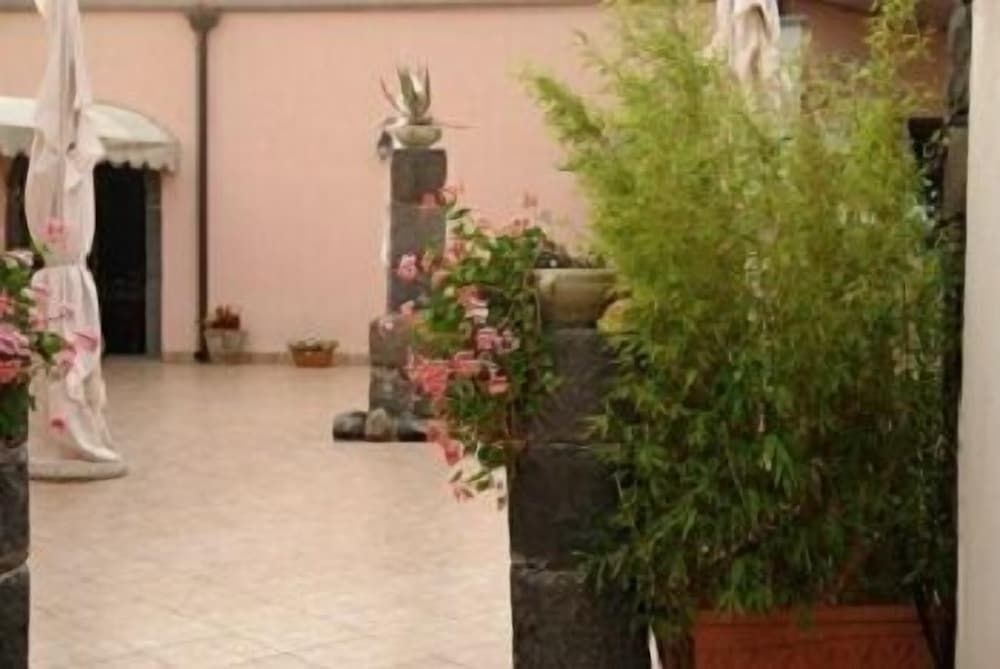La Grevillea3