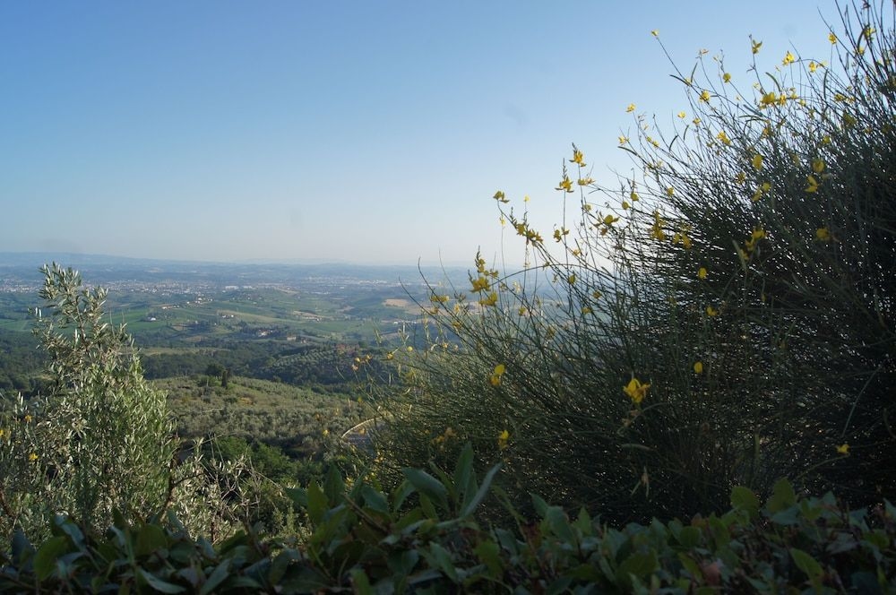 Colle Da Vinci2