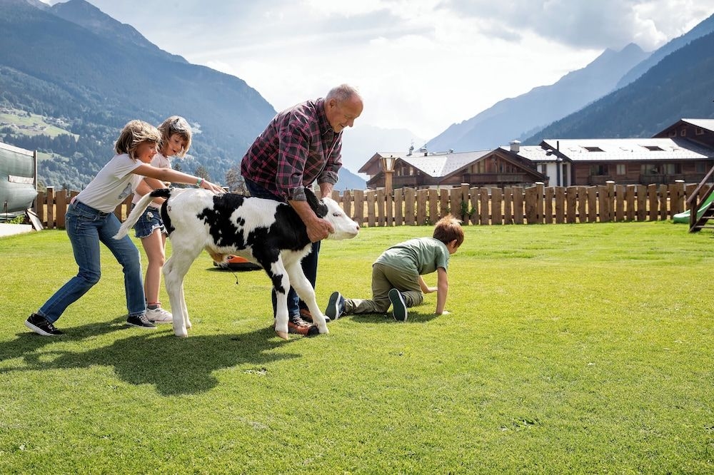 Agriturismo Rini1