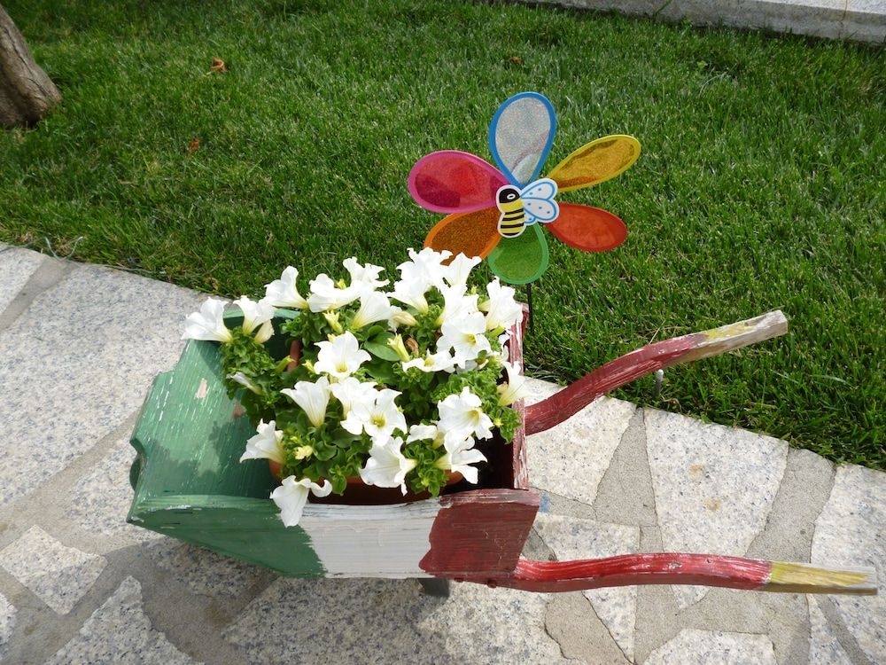 Elicrim4