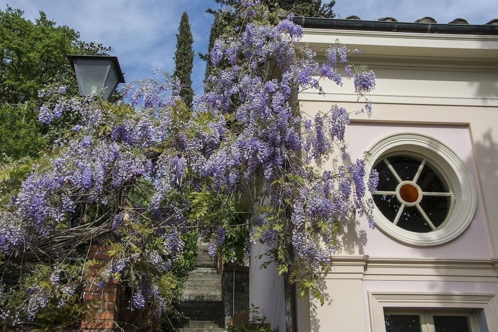 Villa Parri3