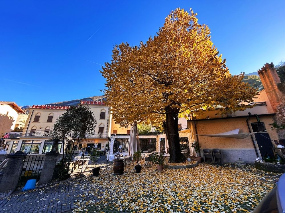 Hotel Cassone0