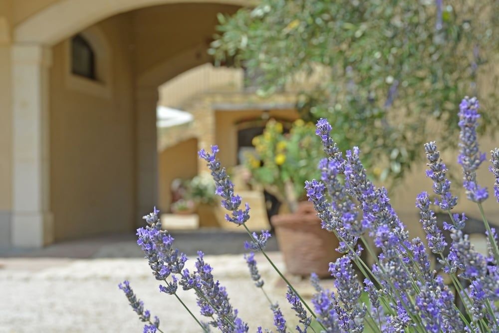 Casale delle Rose4