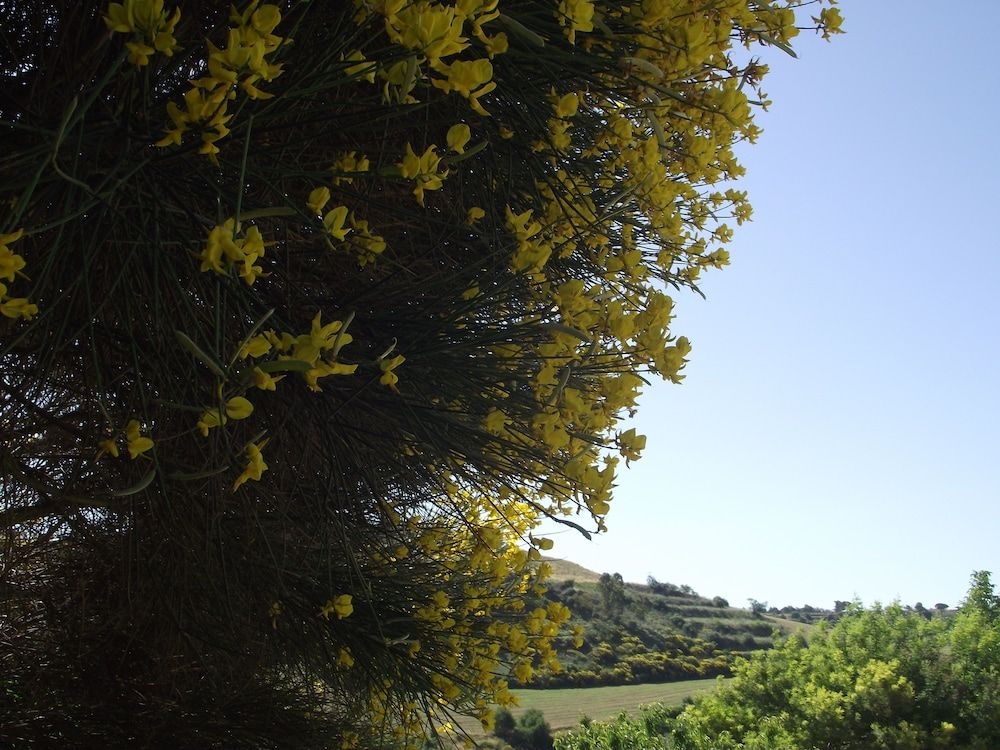 Casale delle Rose1