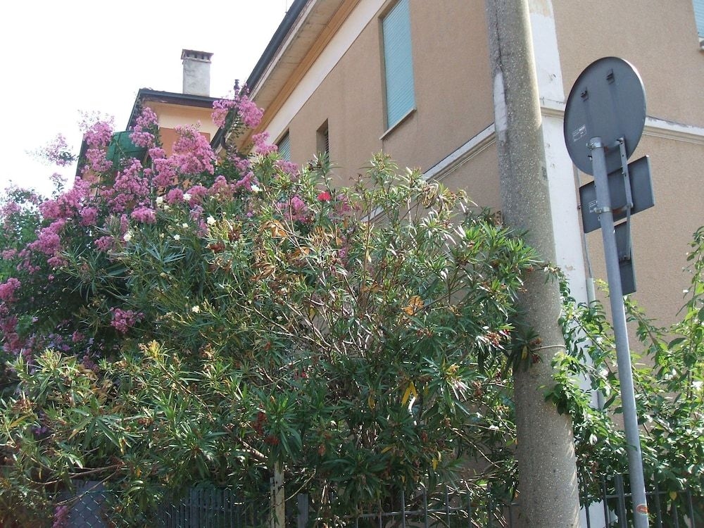 B&B Accorsi0