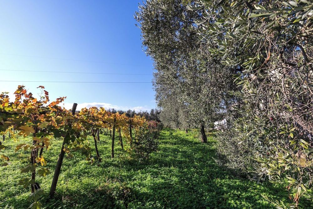 Agriturismo Posta Pastorella0