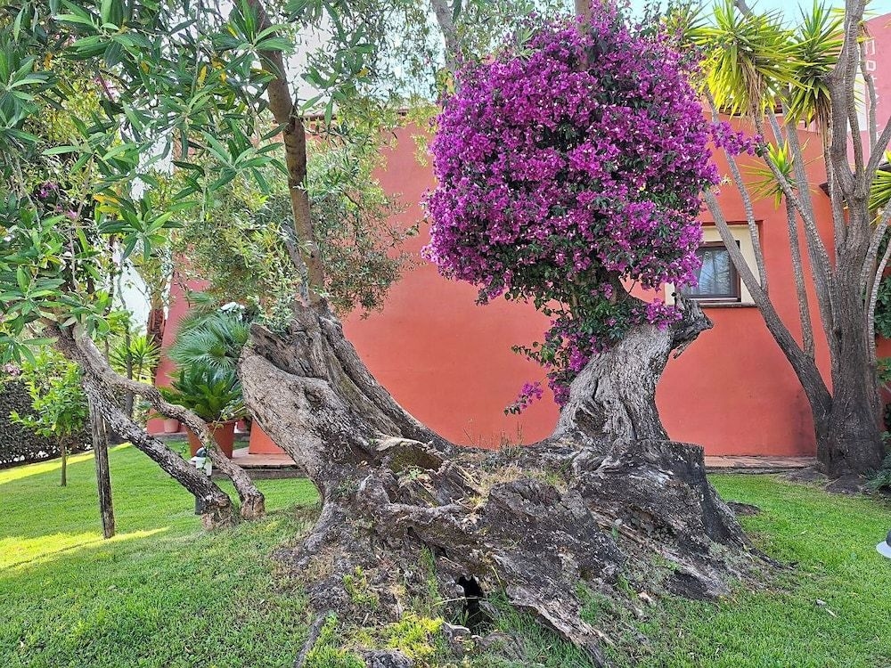 Il Vecchio Mulino1