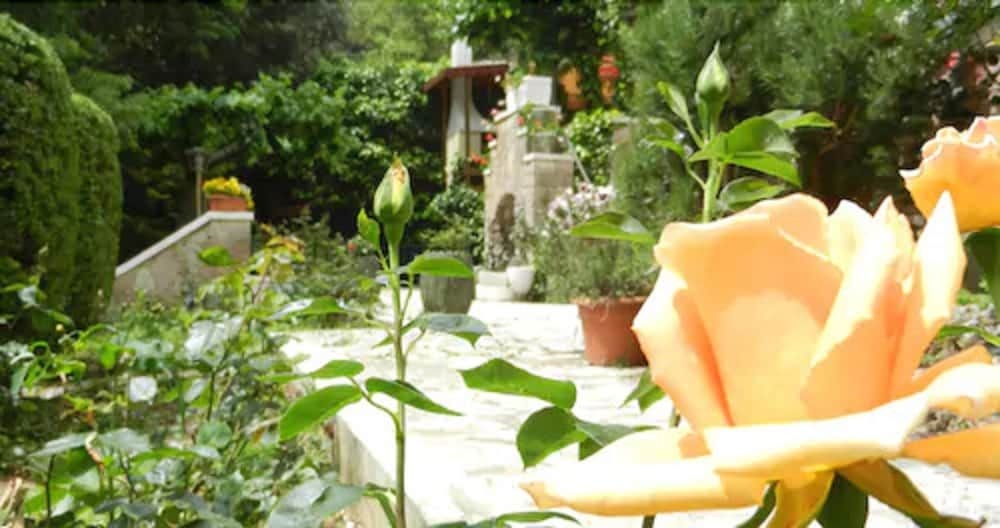 Hotel Paradiso2
