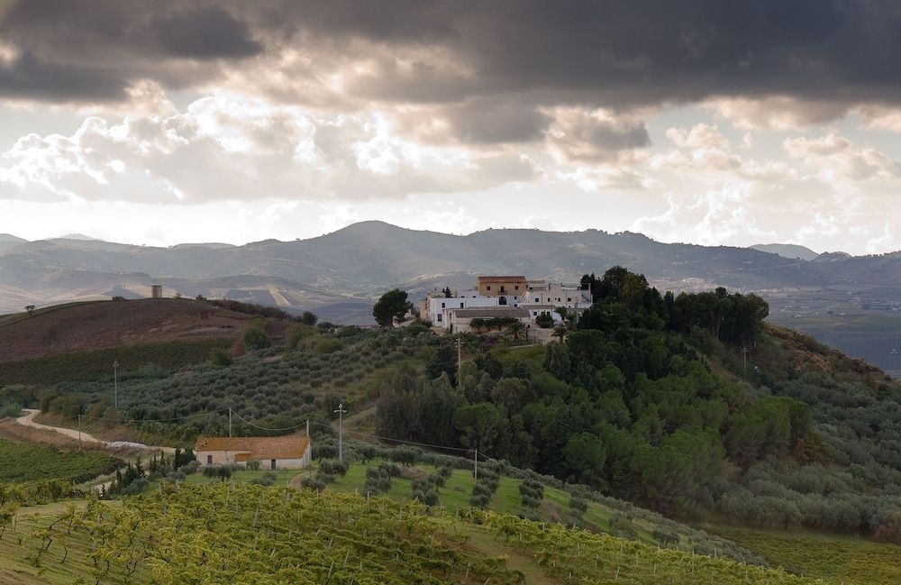 Sirignano Wine Resort3