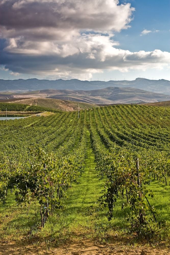 Sirignano Wine Resort0