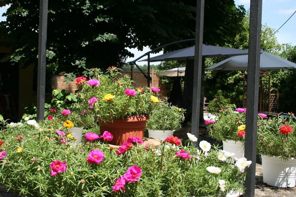 Residence Alle Scuole3
