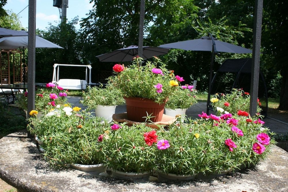 Residence Alle Scuole2