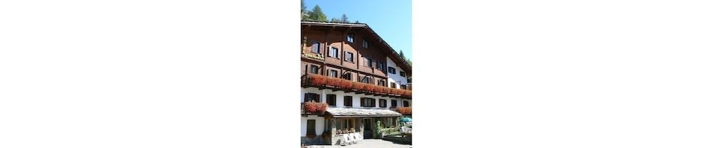 Edelweiss1