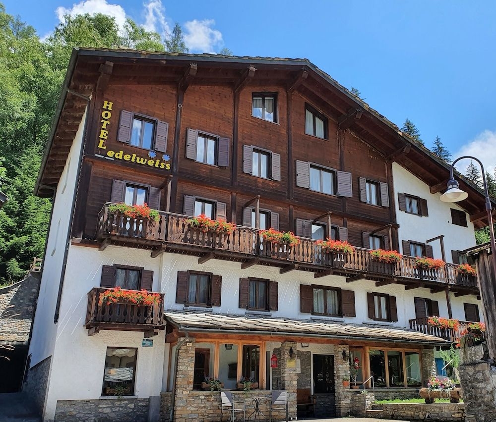 Edelweiss3