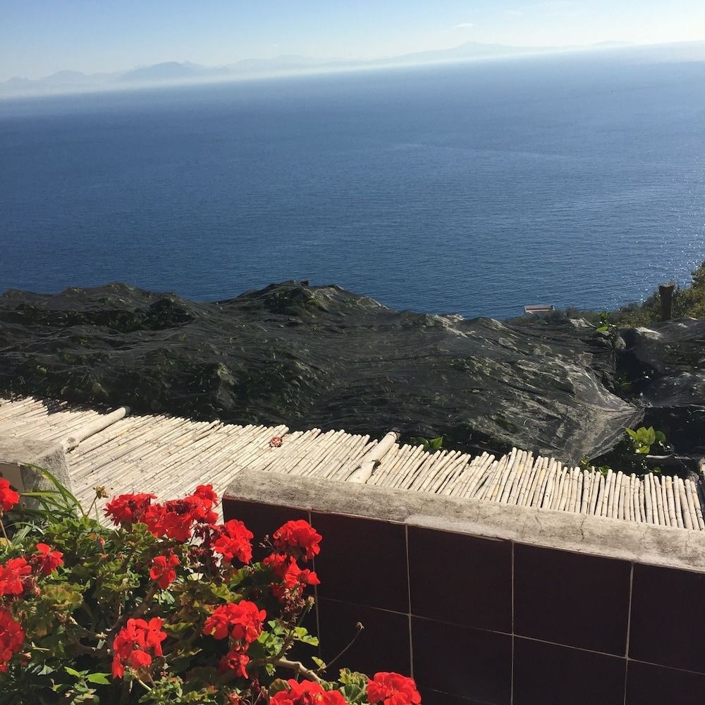 B&B I Limoni1