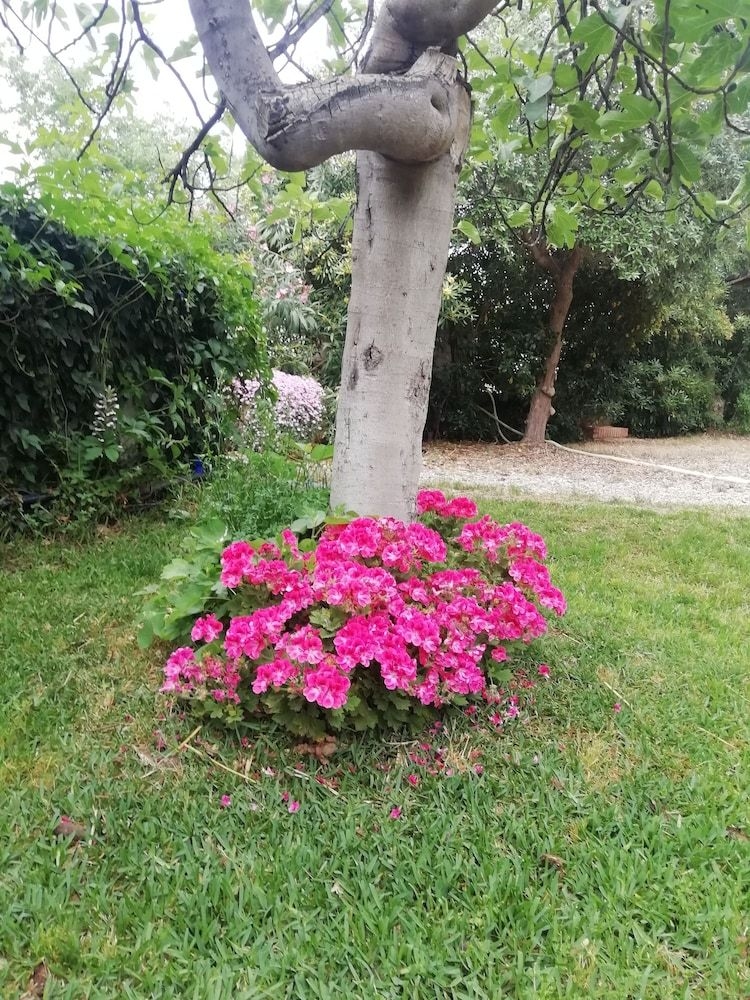 Villa Aresco1