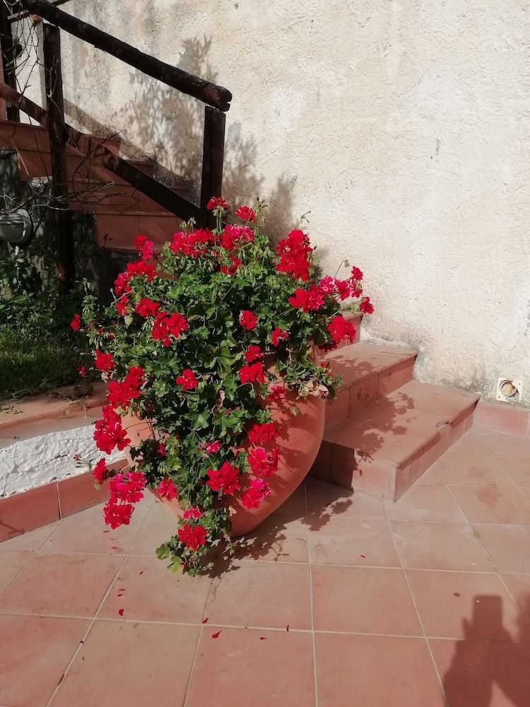 Villa Aresco0