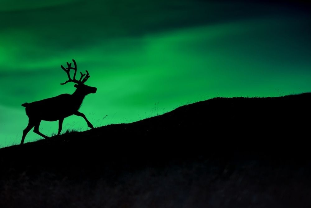 Smarthotel Hammerfest4