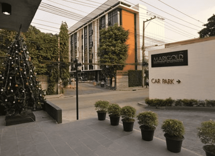 มาริโกลด์ รามคำแหง (Marigold Ramkhamhaeng)4