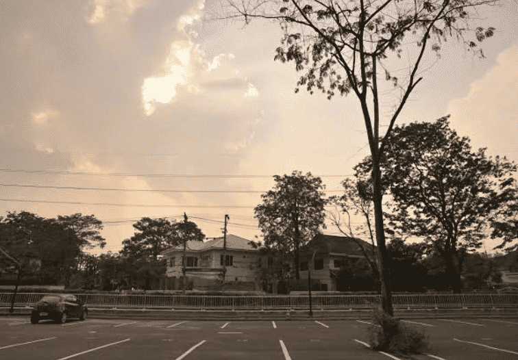 มาริโกลด์ รามคำแหง (Marigold Ramkhamhaeng)3