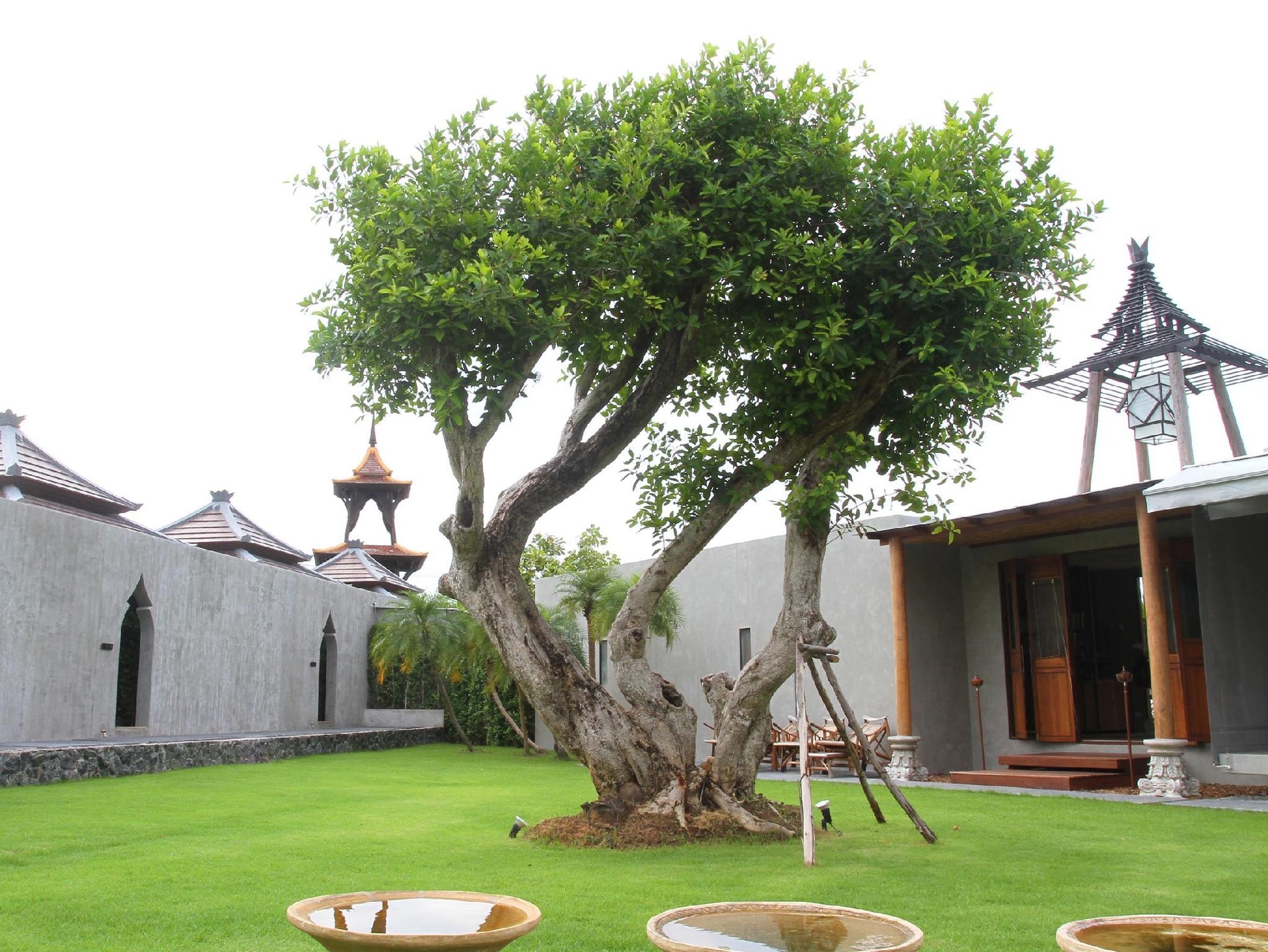 วิลล่า วิลล่า พัทยา รีสอร์ท (Villa Villa Pattaya Resort)2