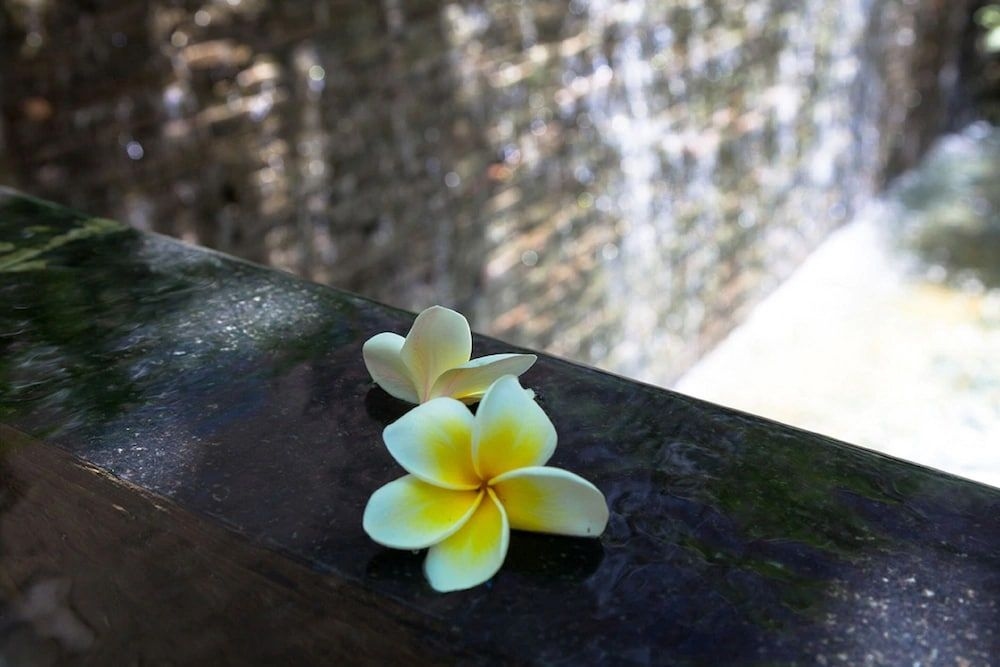 ซอล โฮเต็ล (SOL Hotel)3
