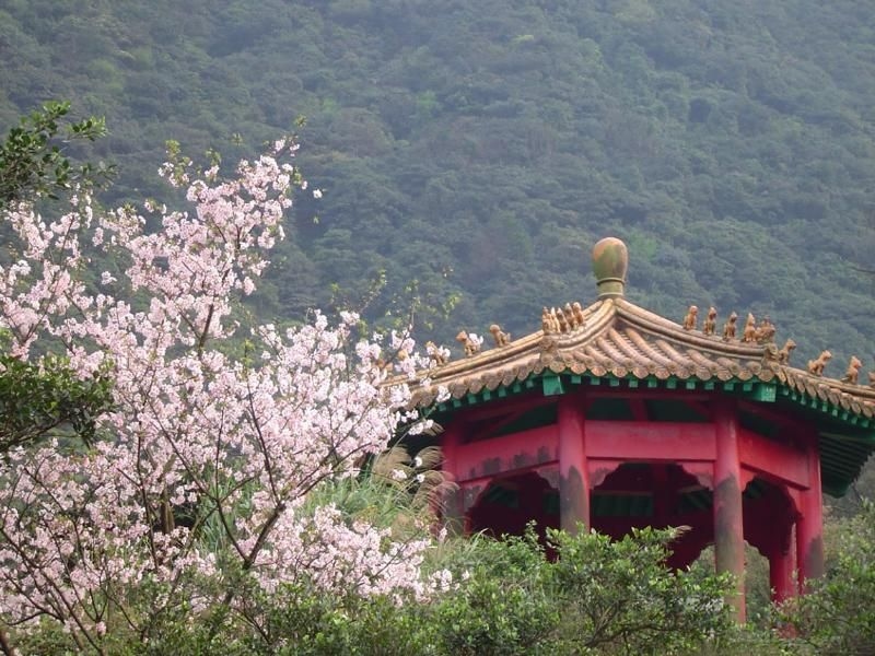 Greenpeak Holiday Villa4