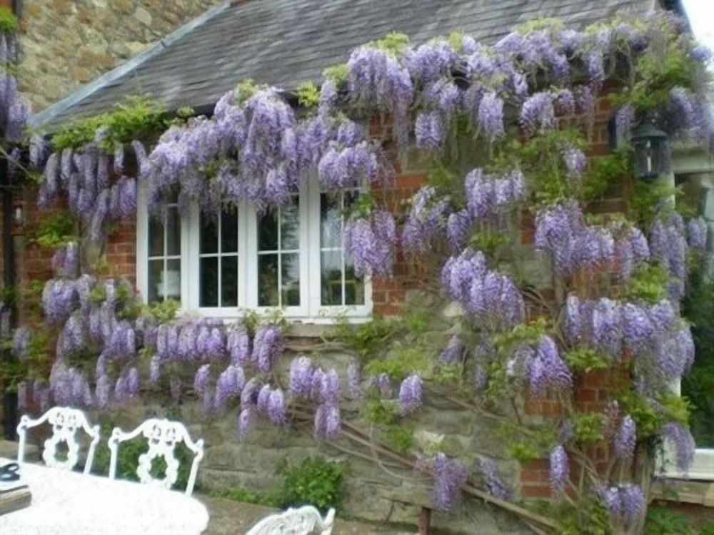 Blounts Court Farm - B&B2