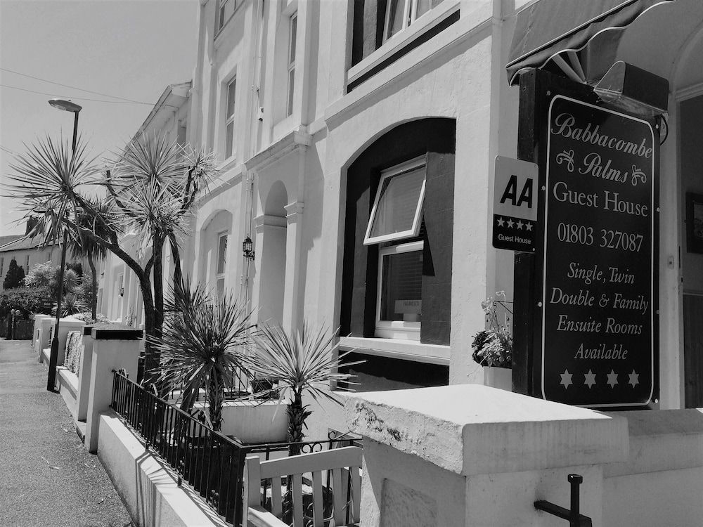Babbacombe Palms1