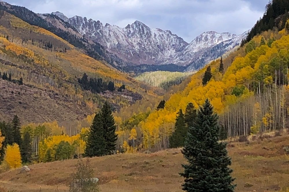 Fallridge at Vail3